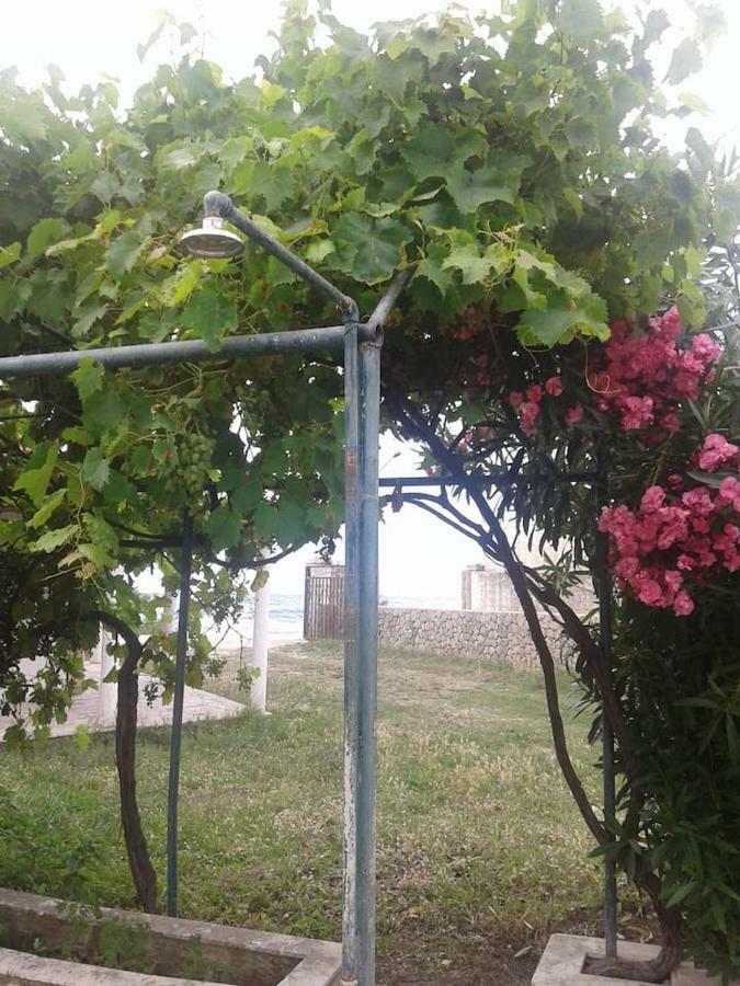 Acharavi, Next To The Villa *